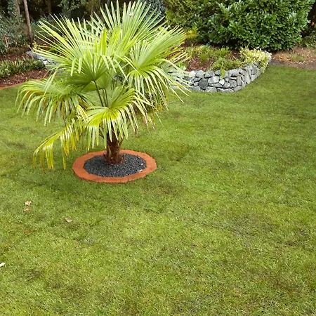 Schwalbennest Ostfriesland Berumbur