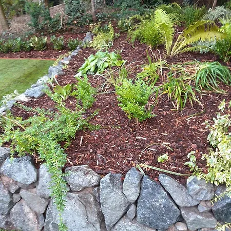 Schwalbennest Ostfriesland بيت للعطل *