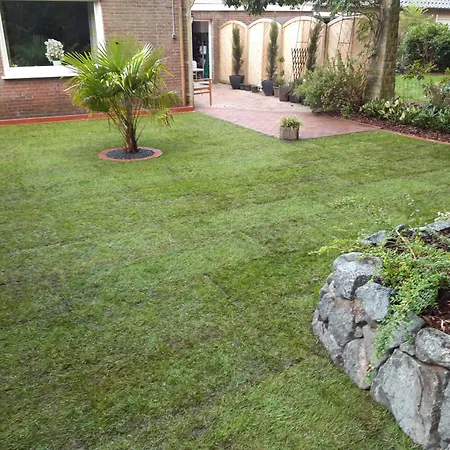 Schwalbennest Ostfriesland *