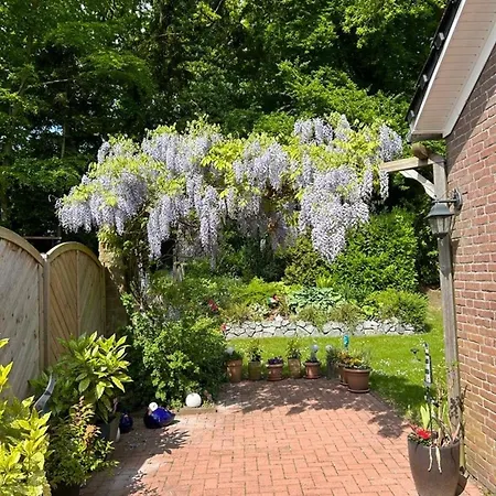 Schwalbennest Ostfriesland بيت للعطل *