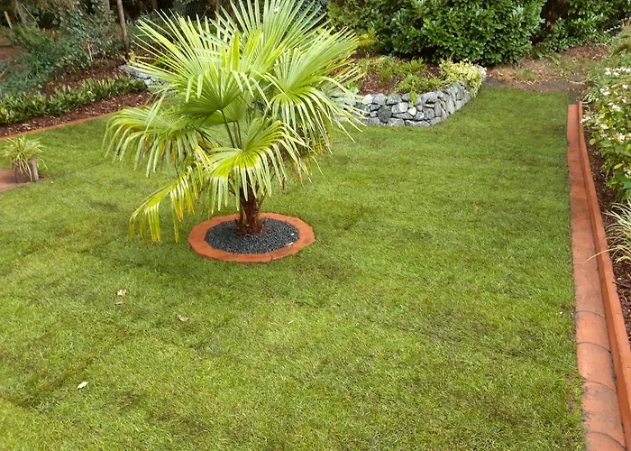 Schwalbennest Ostfriesland Berumbur