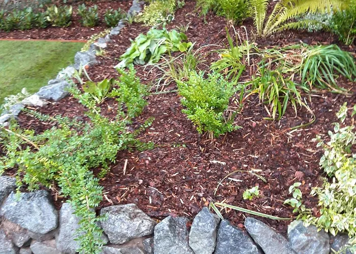 Schwalbennest Ostfriesland Feriehus *