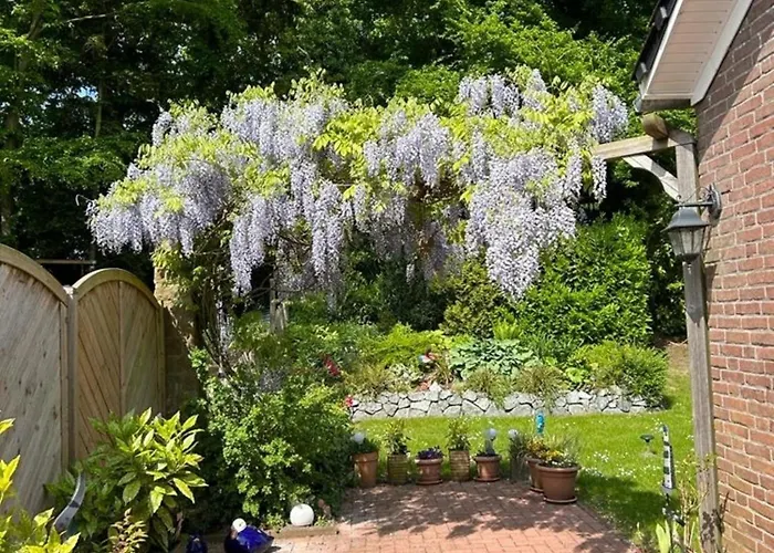 Schwalbennest Ostfriesland Feriehus *